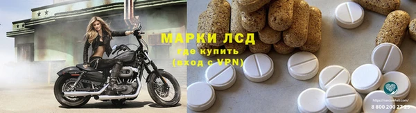 ПСИЛОЦИБИНОВЫЕ ГРИБЫ Осташков