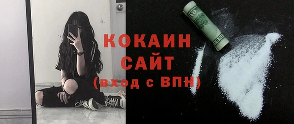 твердый Осинники