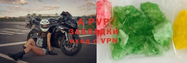 прущие грибы Зеленодольск