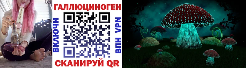 darknet как зайти  Людиново  Галлюциногенные грибы Cubensis 