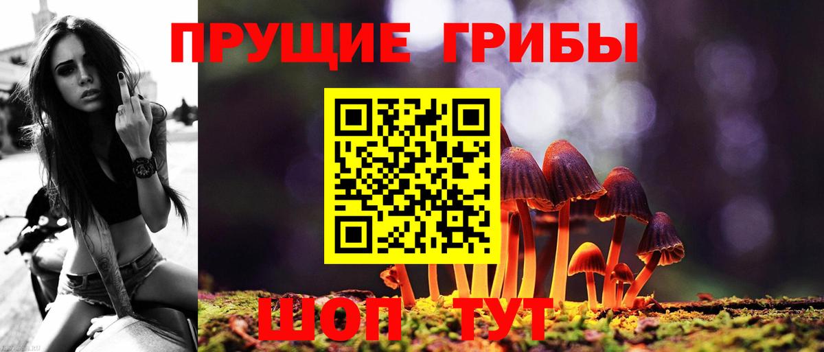 Псилоцибиновые грибы прущие грибы Людиново