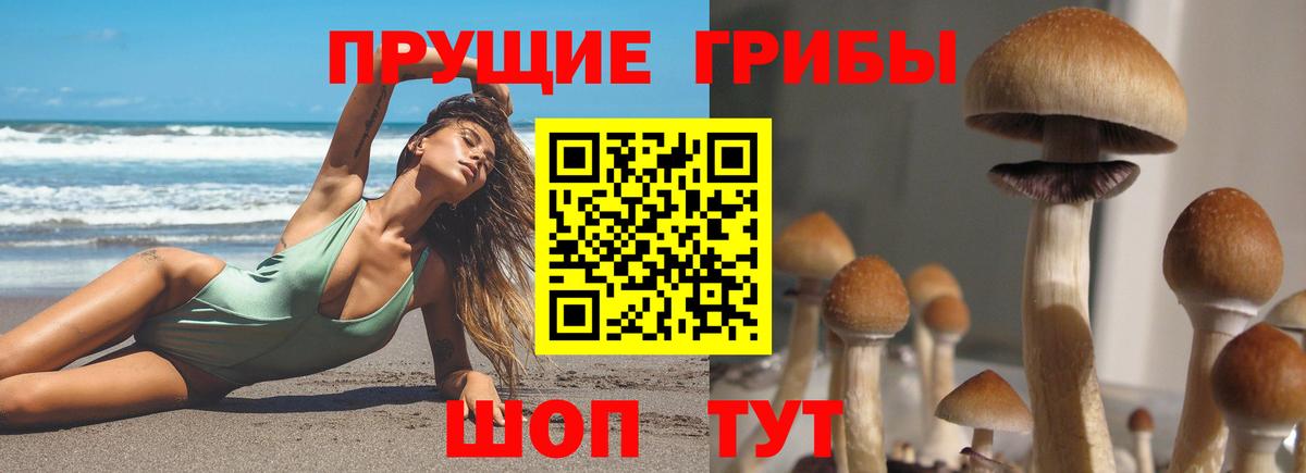 Галлюциногенные грибы мухоморы  Псилоцибиновые грибы мицелий  Людиново 